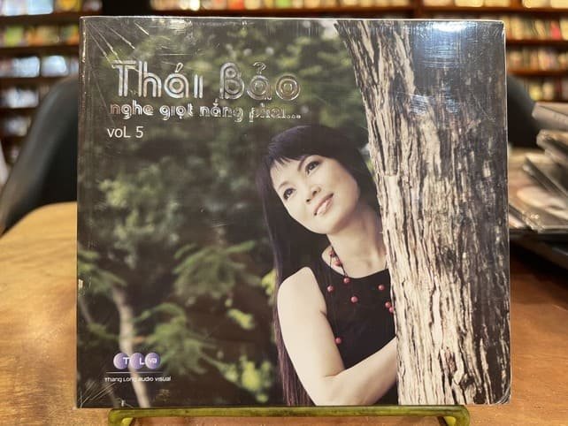 Thái Bảo - Nghe Giọt Nắng Phai